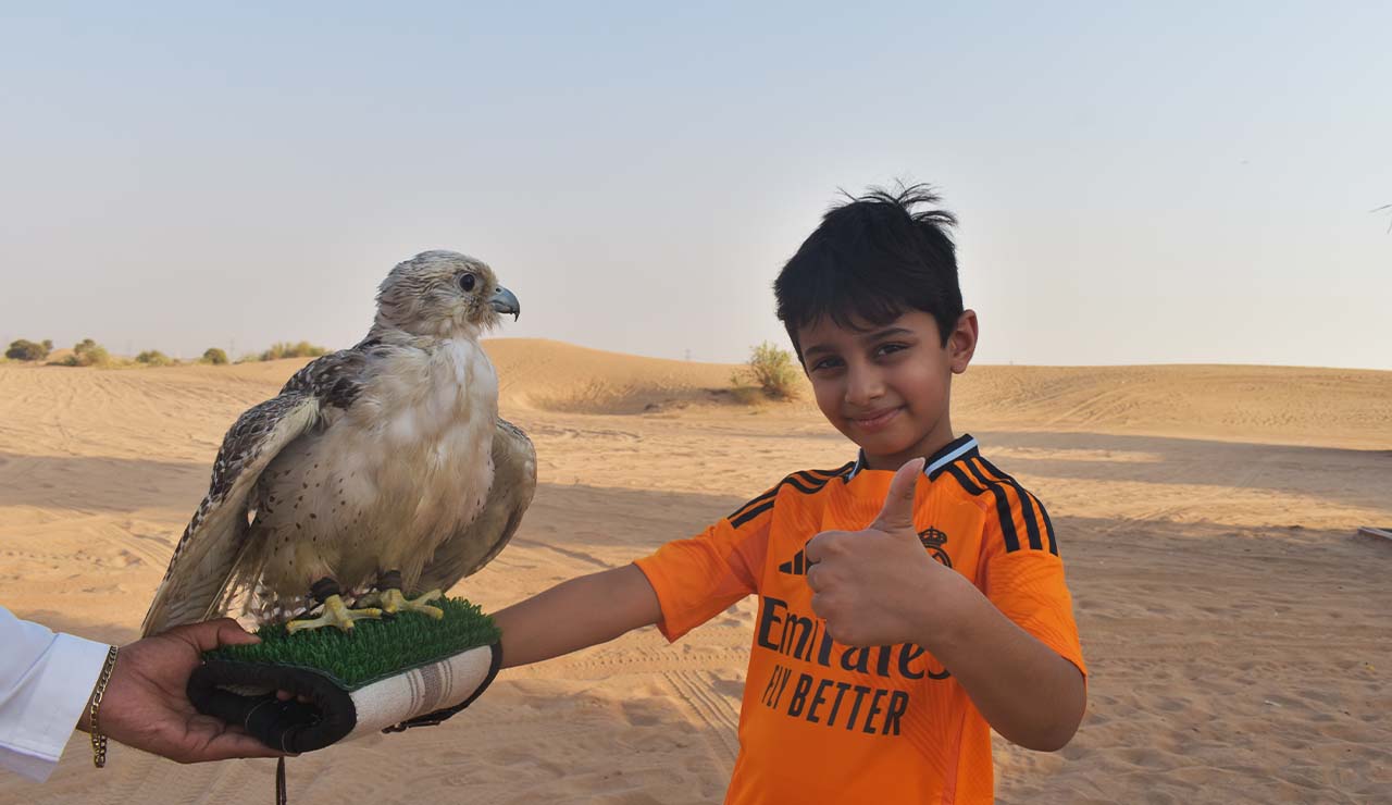 Falcon Photo boy 13 oct