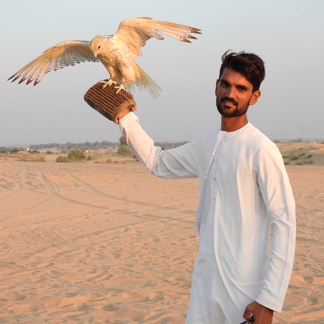 Desert Saffari Dubai